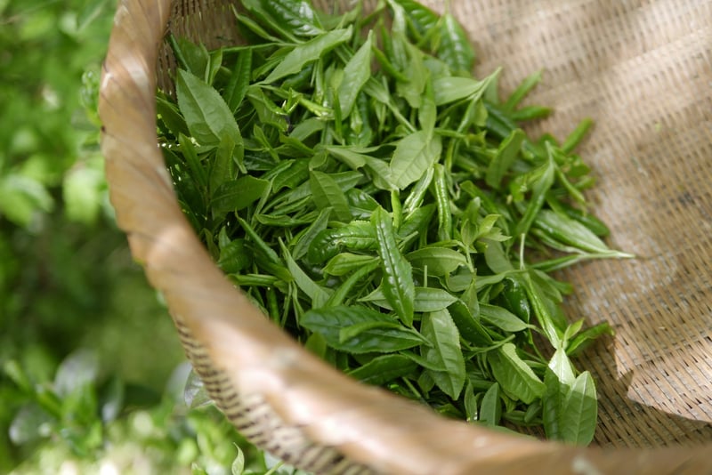 Global Tea Blends